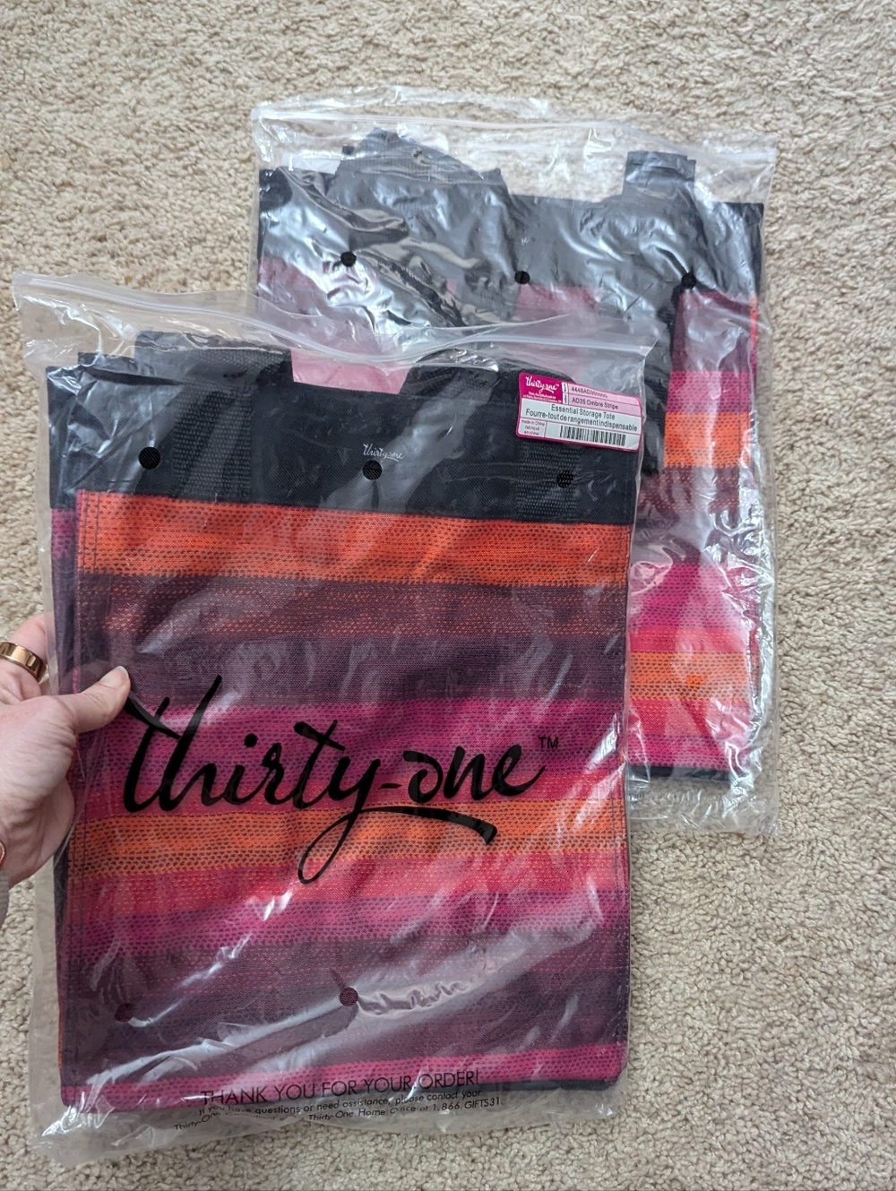 Bundle of 2, Thirty-one Essential Storage Totes - Ombre Stripe